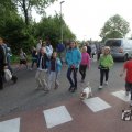 IMG_1023415