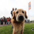 IMG_1024521