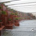 IMG_1026952