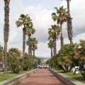 IMG_1026958