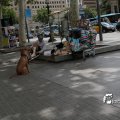 IMG_1027330