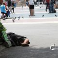 IMG_1027333