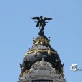 IMG_1027741