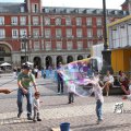 IMG_1028153