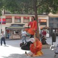 IMG_1028241