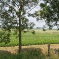 IMG_1042163