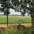 IMG_1042164