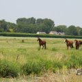 IMG_1042188