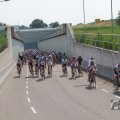 IMG_1042242