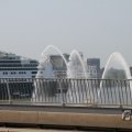 IMG_1038945