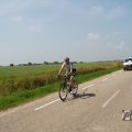 IMG_1041241