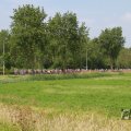 IMG_1041283