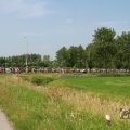 IMG_1041295