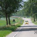 IMG_1041306