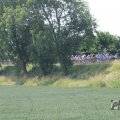 IMG_1041470
