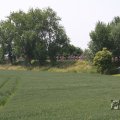 IMG_1041471