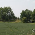 IMG_1041472