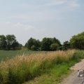 IMG_1041475