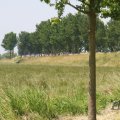 IMG_1041481