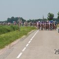 IMG_1041514