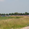 IMG_1041518