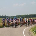IMG_1041556