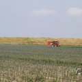 IMG_1041559