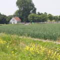IMG_1041560