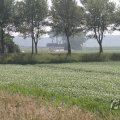 IMG_1040505
