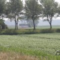 IMG_1040506