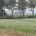 IMG_1040507