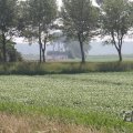 IMG_1040511