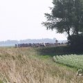 IMG_1040513