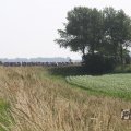 IMG_1040515