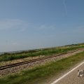 IMG_1041006