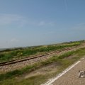 IMG_1041007