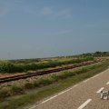 IMG_1041008