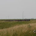 IMG_1041821