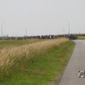 IMG_1041823