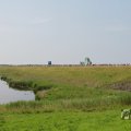 IMG_1041835