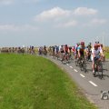 IMG_1041852