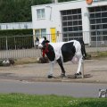 IMG_1041902