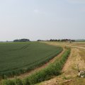 IMG_1041907