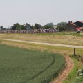 IMG_1041911