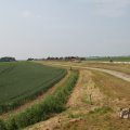 IMG_1041912