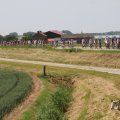 IMG_1041937