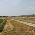 IMG_1041939