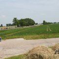 IMG_1041944