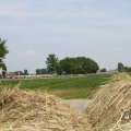 IMG_1041945