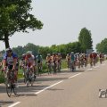 IMG_1041949